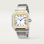 Santos de Cartier Yellow Gold & Steel - Large