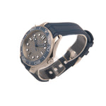 Seamaster Diver 300M - Grey - 2021