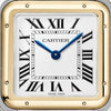 Panthere de Cartier Large - Yellow Gold & Steel