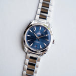 Seamaster Aquaterra 150M - 41mm (2025)