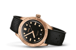 New Divers Sixty-Five 38mm Bronze