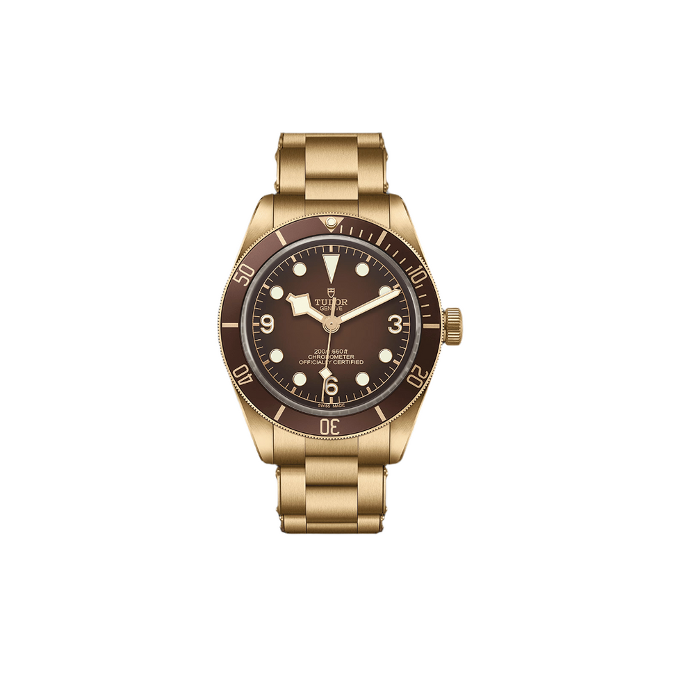 Tudor Black Bay 58 "Bronze" (2023)