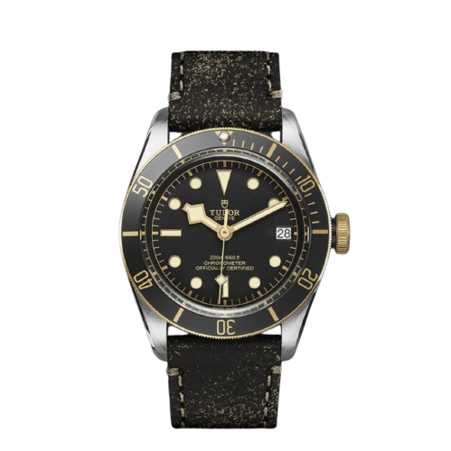 Black Bay 41 S&G